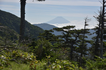 3613希望峰から富士.JPG