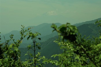 DSCF2426烏尾山から富士.JPG