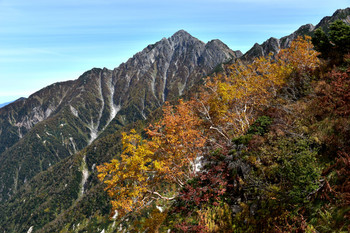 DSC_0734岳樺の紅葉と剱岳1105.JPG